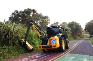 roadside mowing